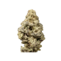 Preview: Grower Choice Mac n Cheese Limited Edition 5 Seeds feminisiert + 2 gratis