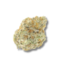 Preview: Grower Choice Permanent x WhiteMarker 5 Seeds feminisiert + 2 gratis