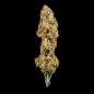 Preview: Cherry Pie Auto 3 Seeds