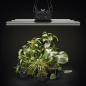 Preview: Greenception GCx 9 270 W GrowLED