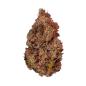 Preview: Royal Queen Seeds - Purple Queen 3 Seeds