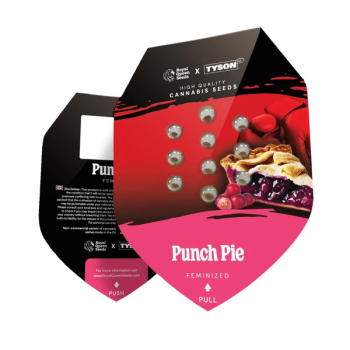 Royal Queen Seeds - Punch Pie 3 Seeds