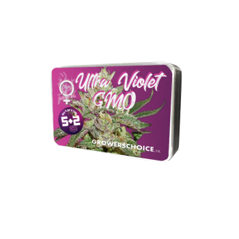 Grower Choice "Ultra Violet GMO" 5 Seeds feminisiert + 2 gratis