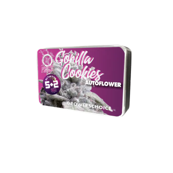 Grower Choice "Gorilla Cookies Autoflower" 5 Seeds + 2 gratis