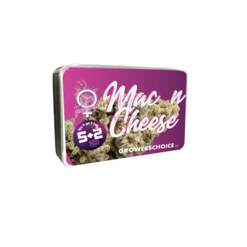 Grower Choice Mac n Cheese Limited Edition 5 Seeds feminisiert + 2 gratis