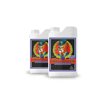 Connoisseur Bloom A&B je 1 Liter