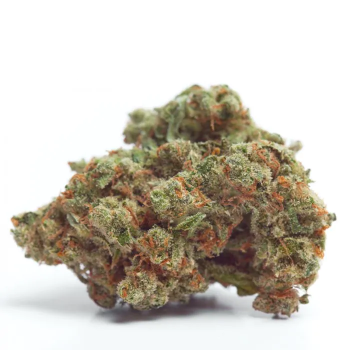 Grower Choice "Gorilla Cookies Autoflower" 5 Seeds + 2 gratis