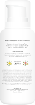 Sugar Black Rose Hanfstecklinge