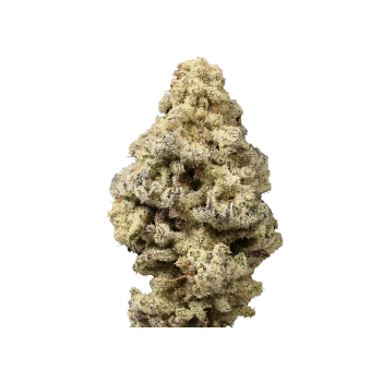 Grower Choice Mac n Cheese Limited Edition 5 Seeds feminisiert + 2 gratis