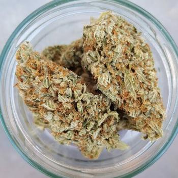 Green Gelato 3 Seeds