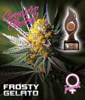 Growers Choice Frosty Gelato 5 Stk feminisiert