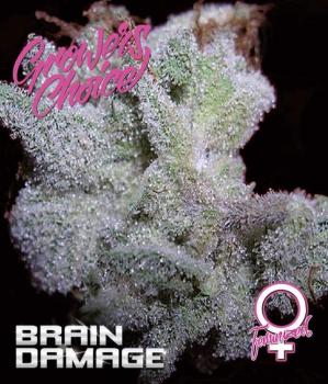Growers Choice Braindamage Auto 5 Stk feminisiert