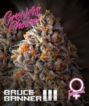 Growers Choice Bruce Banner III 5 Stk feminisiert
