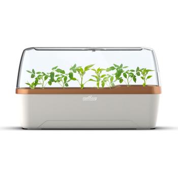 Romberg Gewächshaus BoQube L Plus Creme Kupfer