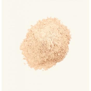 UGro BENEFITS Rhiza1200 Bewurzelungspulver 4g