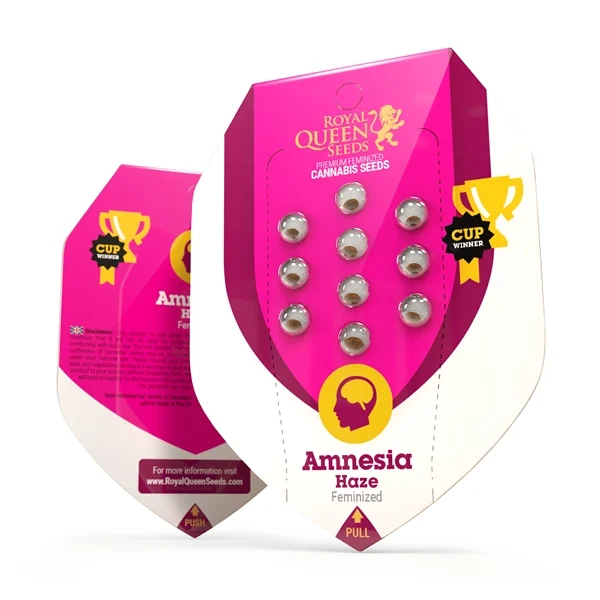 Amnesia Haze 3 Seeds