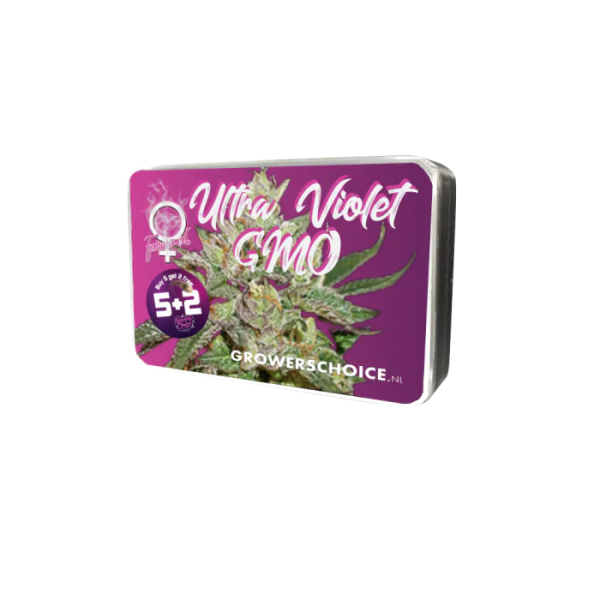 Grower Choice "Ultra Violet GMO" 5 Seeds feminisiert + 2 gratis