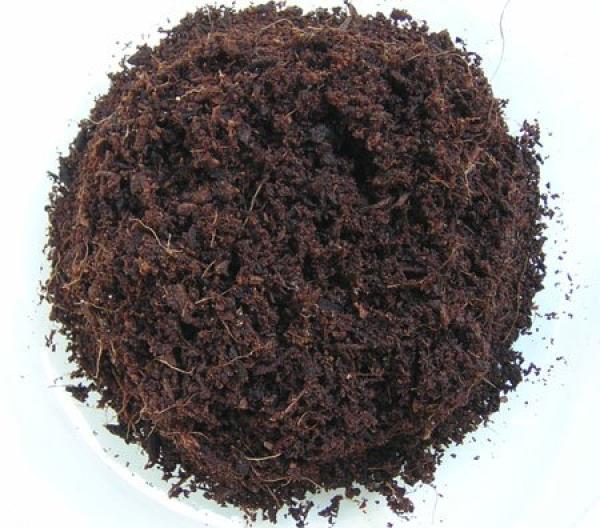 Plagron Cocos Premium, 50l