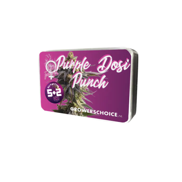 Grower Choice "Purple Dosi Punch" 5 Seeds feminisiert + 2 gratis