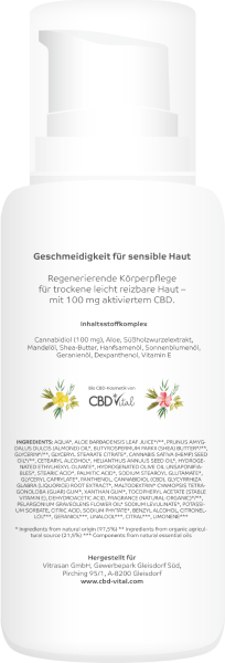 Sugar Black Rose Hanfstecklinge