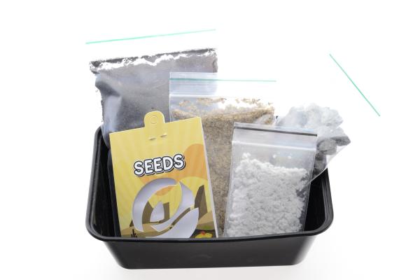 Cactus Growkit San Pedro