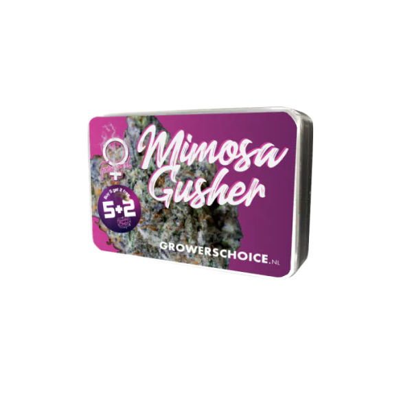 Grower Choice Mimosa Gusher Limited Edition 5 Seeds feminisiert + 2 gratis