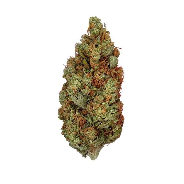 Green Gelato 3 Seeds