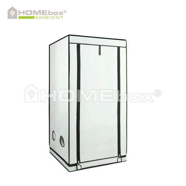 Homebox Ambient Q80+ - 80x80x180