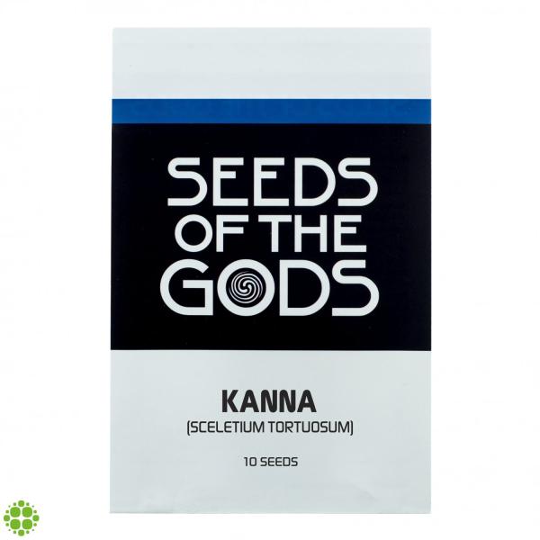 Kanna (Sceletium tortuosum) Samen