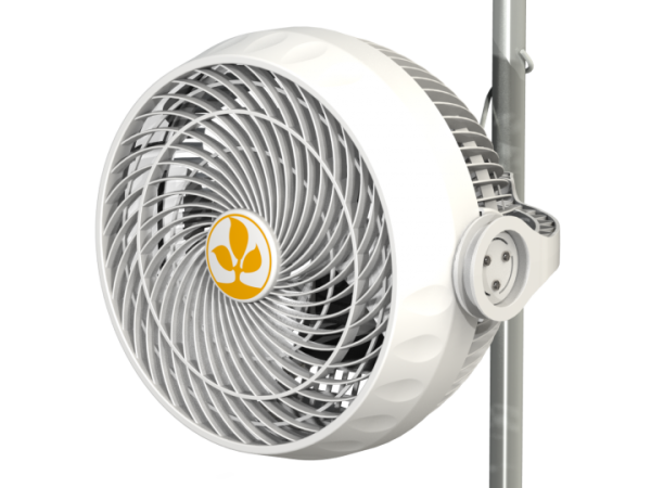Monkey Fan 18cm 30W Kugellager