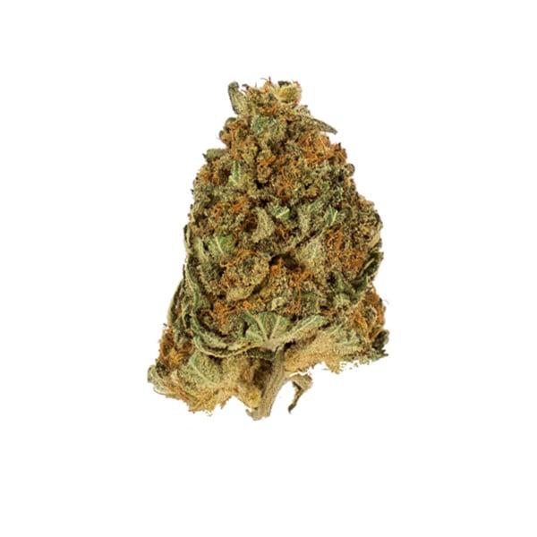 Royal Queen Seeds - Northern Light 3 Seeds