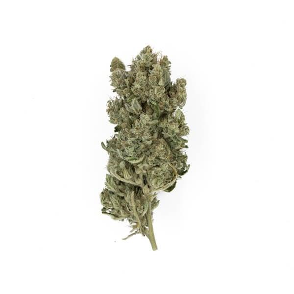Royal Queen Seeds - Royal Gorilla 3 Seeds