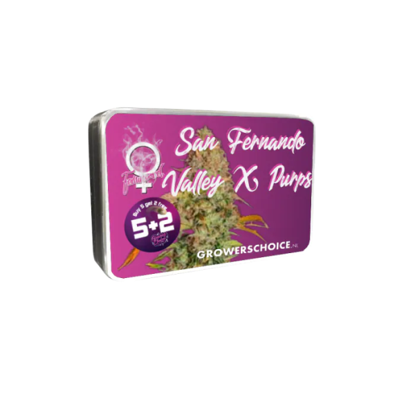 San Fernando Valley x The Purps